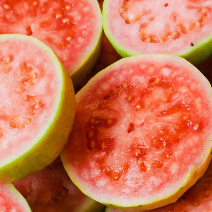 Vibrance: Rejuvenating Multi-Vitamin (A, B3, B5, C, D, E & K) Serum